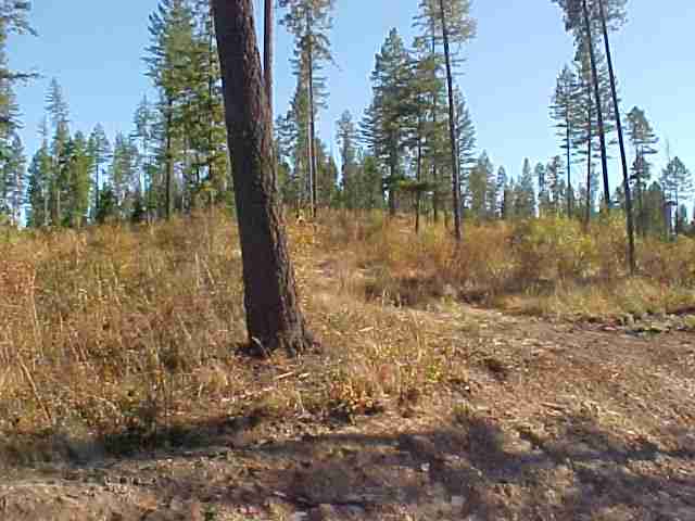 0 South Waitts Lake Road Valley, WA 99181 - Photo 3 of 4