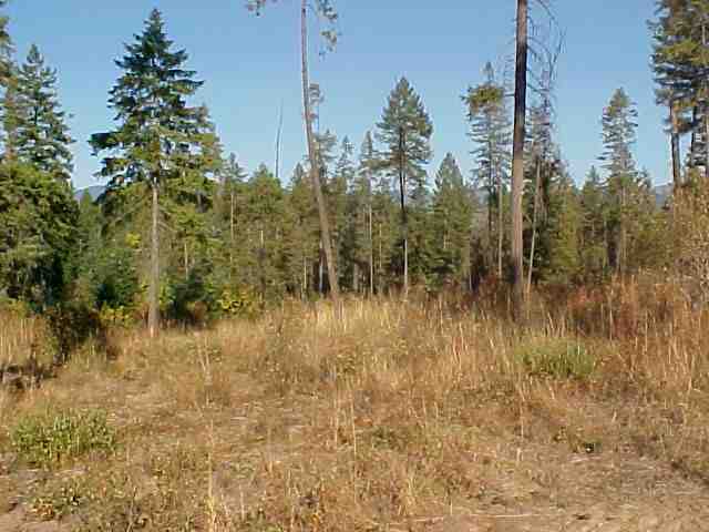0 South Waitts Lake Road Valley, WA 99181 - Photo 4 of 4