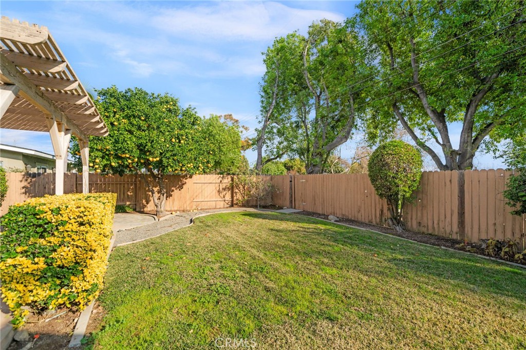 760 West Aster Street Upland, CA 91786 - Photo 21 of 40 a view of a yard with plants and trees