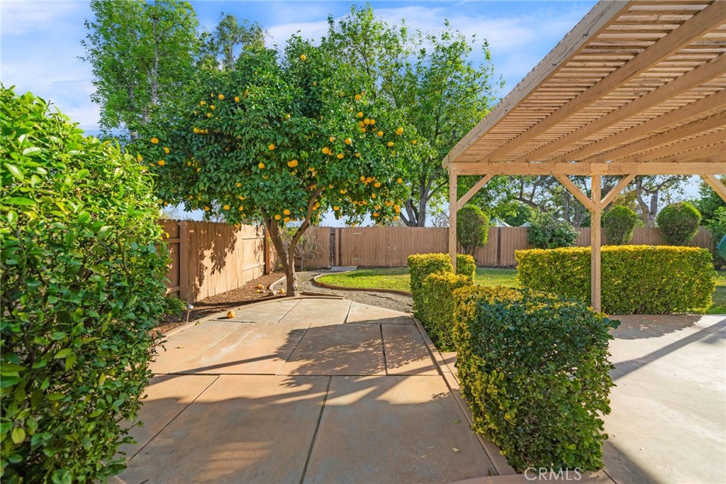 760 West Aster Street Upland, CA 91786 - Photo 23 of 40 a view of a backyard