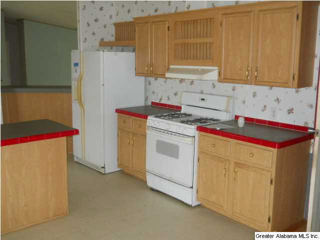 241 Happy Knoll Road Ashville, AL 35953 - Photo 7 of 17