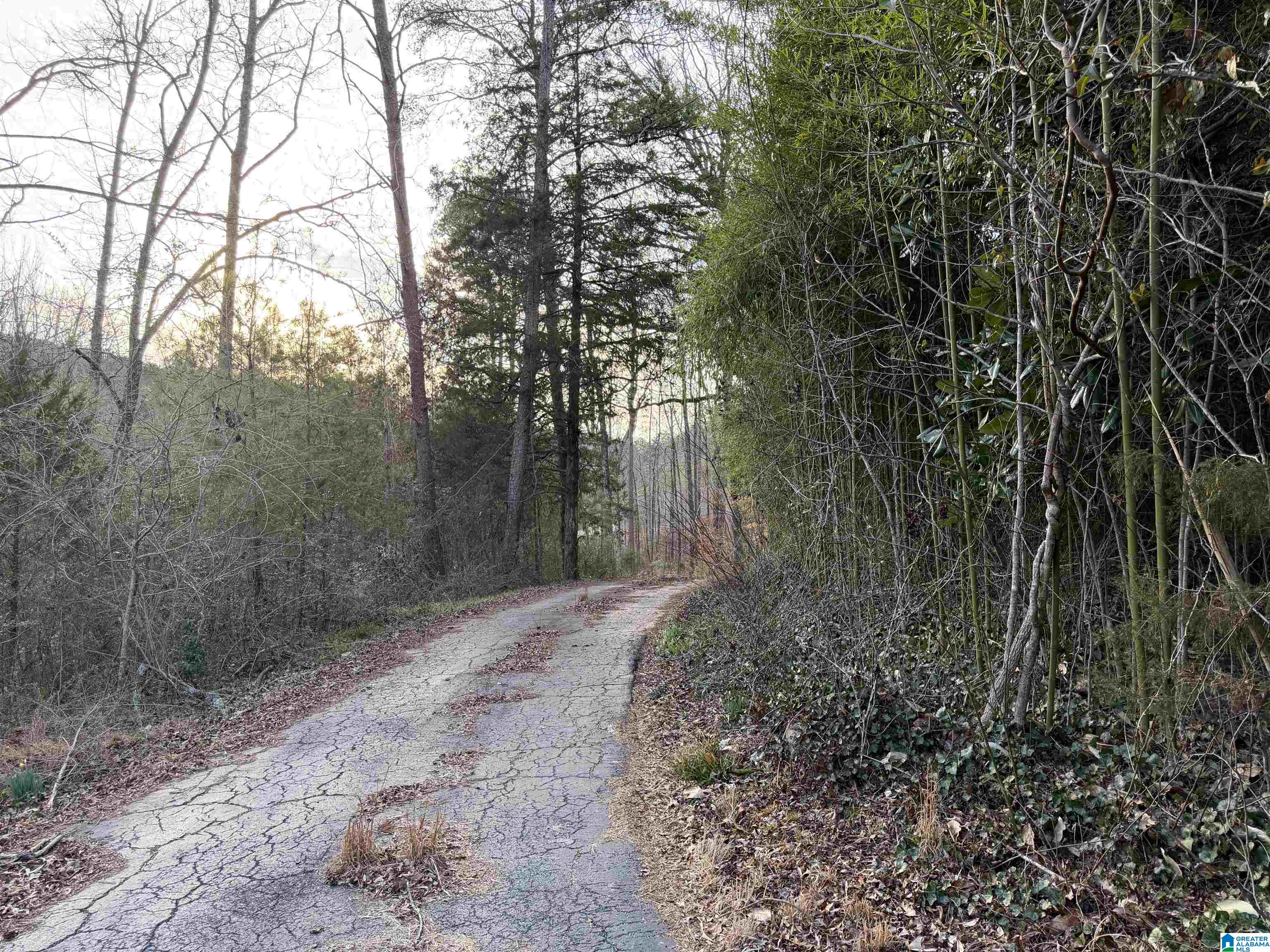 5134 Dug Hollow Road Pinson, AL 35126 - Photo 1 of 17