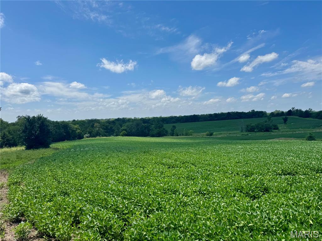 46613 Winter Road Browning, MO 64630 - Photo 3 of 65