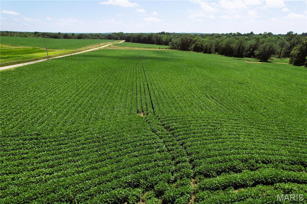 46613 Winter Road Browning, MO 64630 - Photo 32 of 65