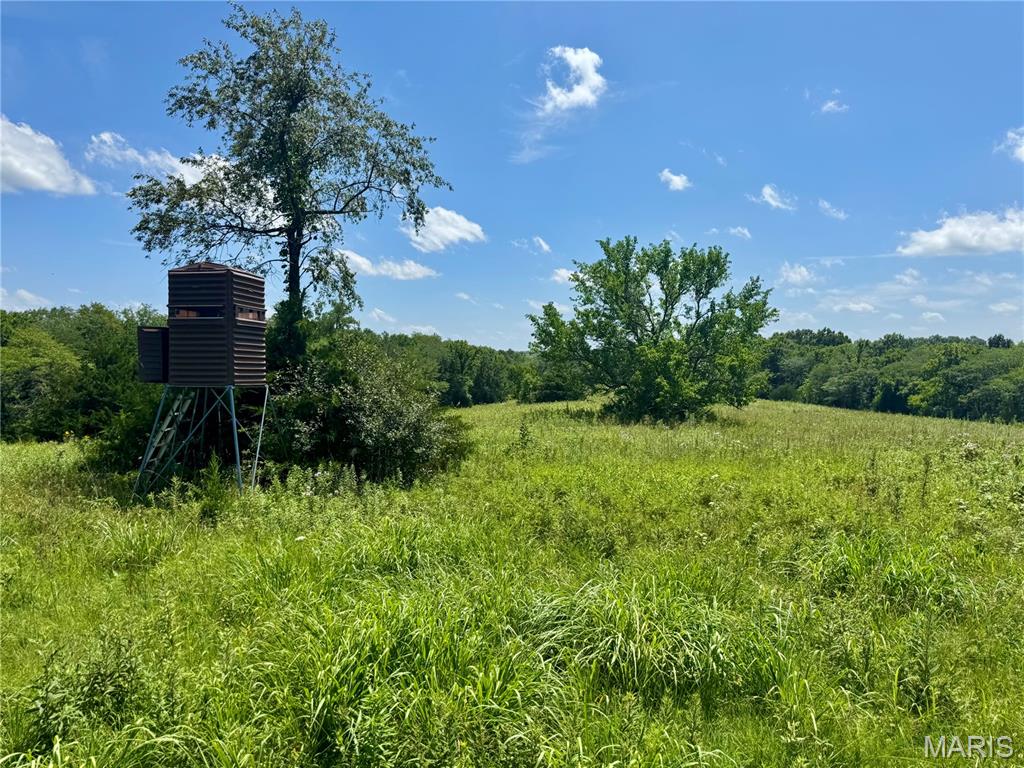 46613 Winter Road Browning, MO 64630 - Photo 36 of 65