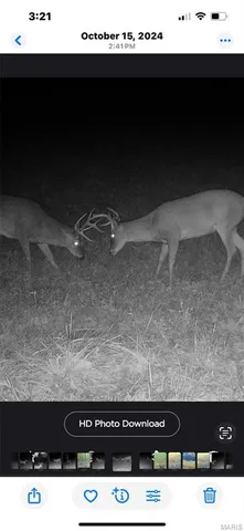 $1,200,000 | 46613 Winter Road, Browning, MO 64630