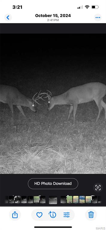 46613 Winter Road Browning, MO 64630 - Photo 37 of 65