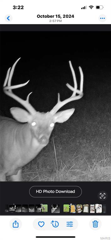 46613 Winter Road Browning, MO 64630 - Photo 38 of 65