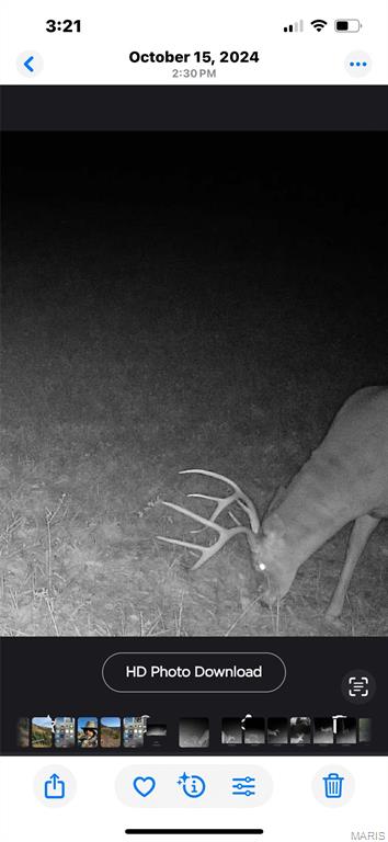 46613 Winter Road Browning, MO 64630 - Photo 39 of 65