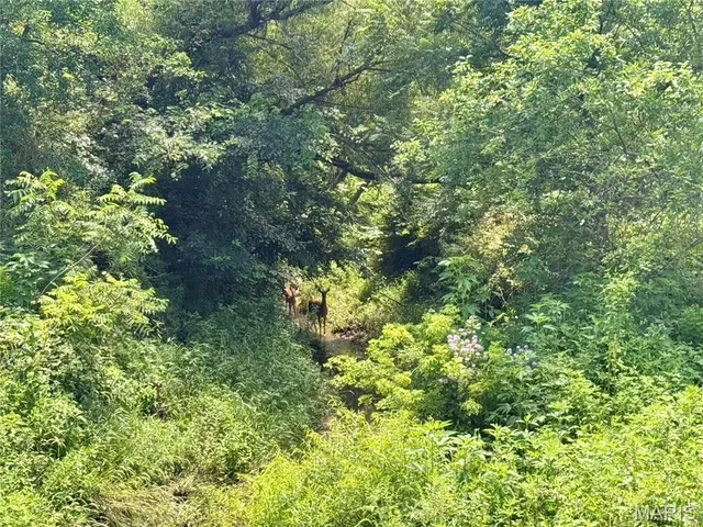 $1,200,000 | 46613 Winter Road, Browning, MO 64630