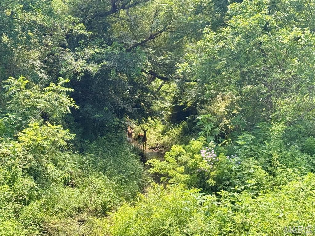 46613 Winter Road Browning, MO 64630 - Photo 47 of 65