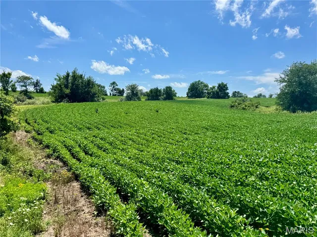 $1,200,000 | 46613 Winter Road, Browning, MO 64630