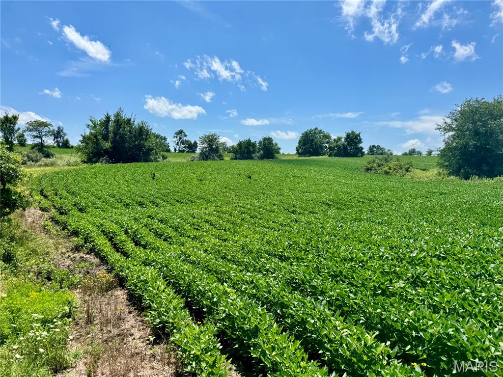 46613 Winter Road Browning, MO 64630 - Photo 53 of 65