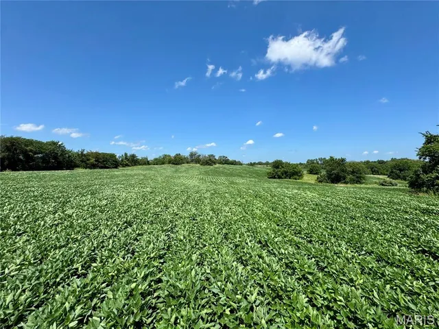 $1,200,000 | 46613 Winter Road, Browning, MO 64630