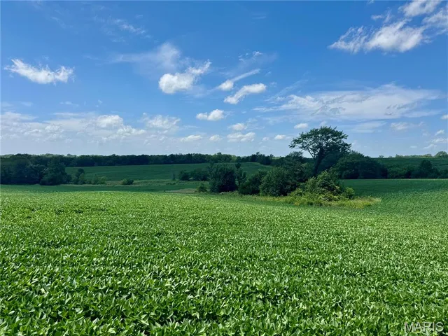 $1,200,000 | 46613 Winter Road, Browning, MO 64630