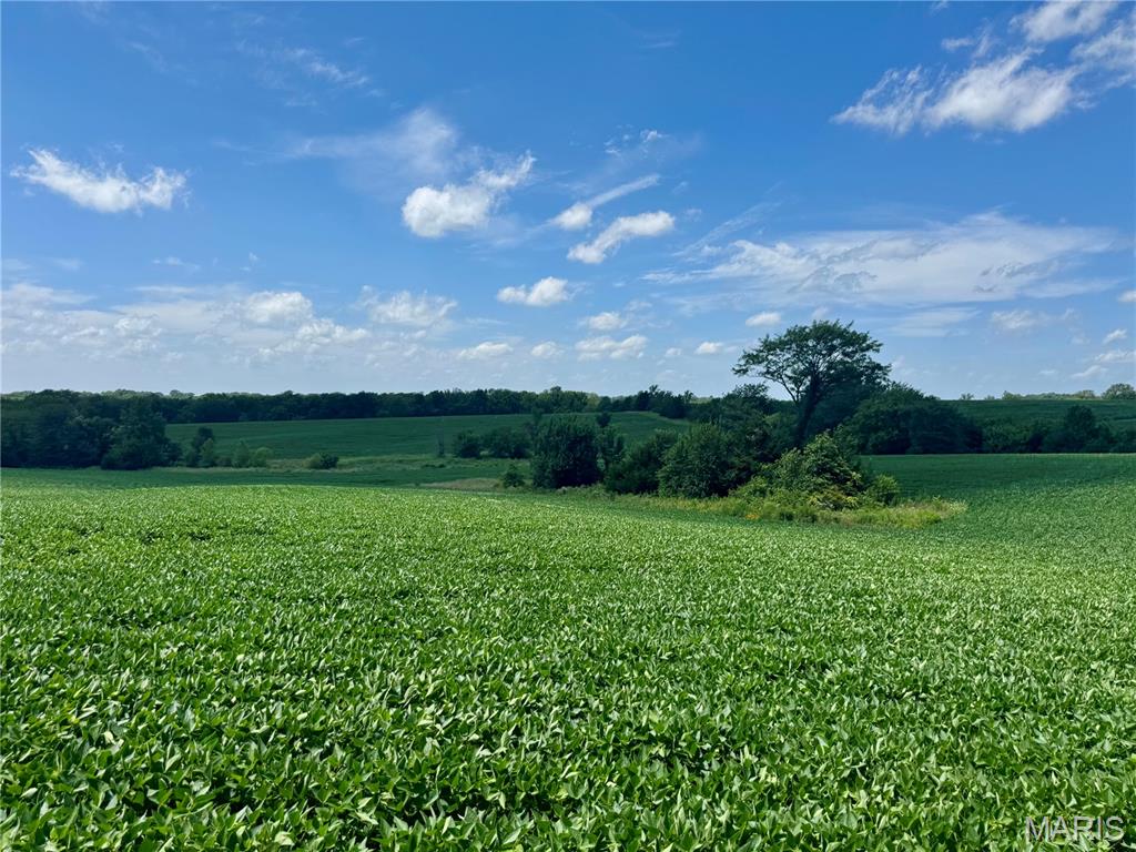 46613 Winter Road Browning, MO 64630 - Photo 55 of 65