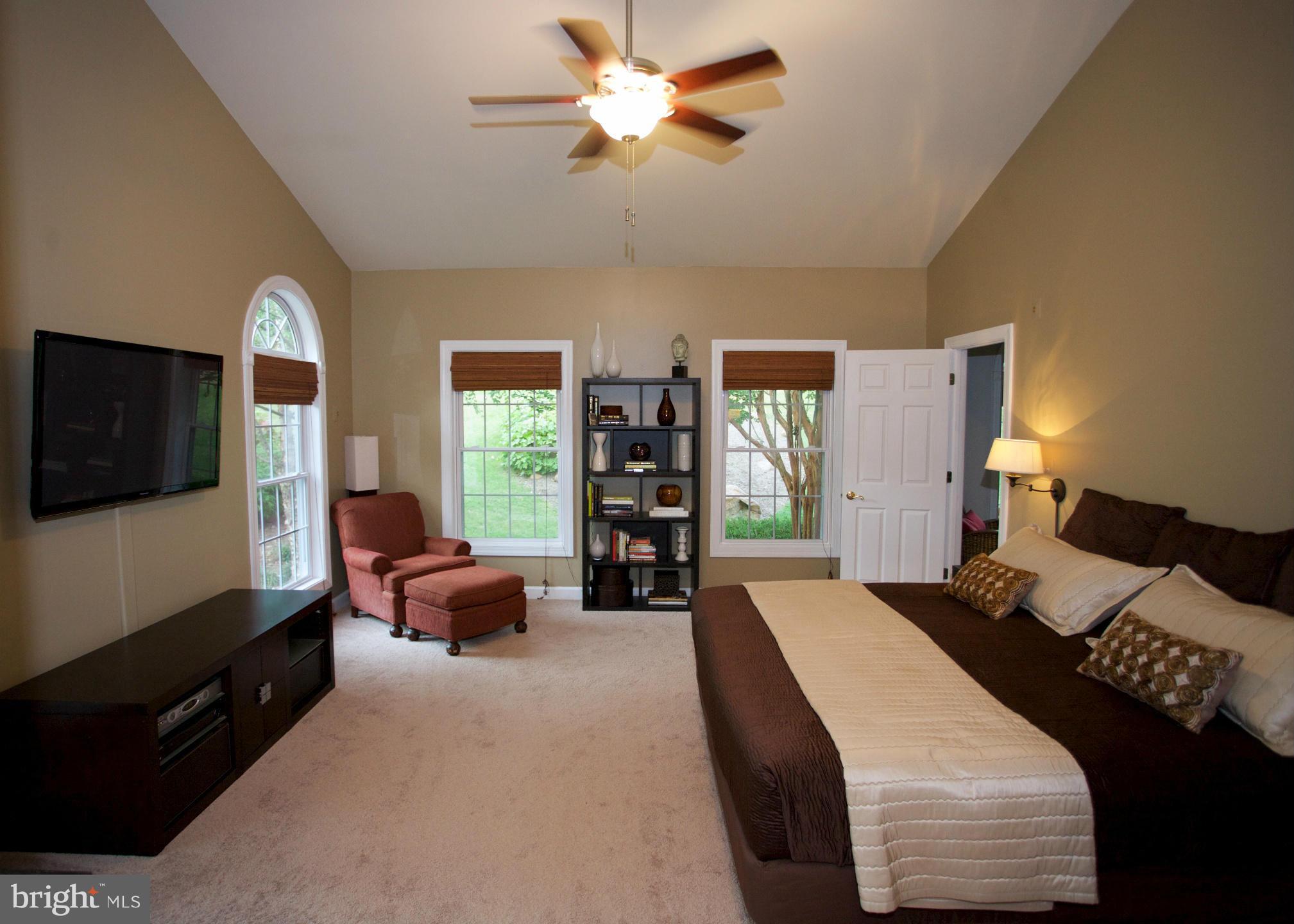 18687 Canby Road Leesburg, VA 20175 - Photo 11 of 30 Entry level master with two W/I closets & lux bath