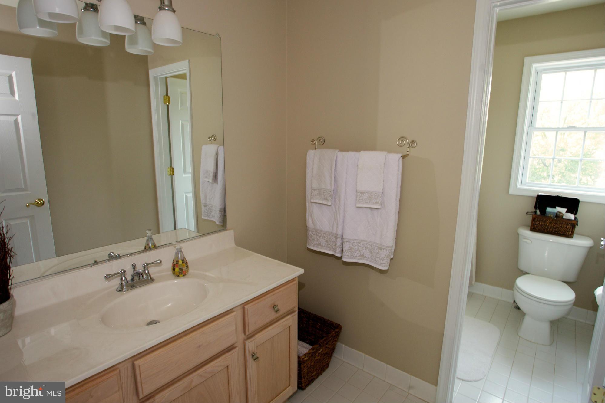 18687 Canby Road Leesburg, VA 20175 - Photo 20 of 30 Upper level hall bathroom with sep vanity area
