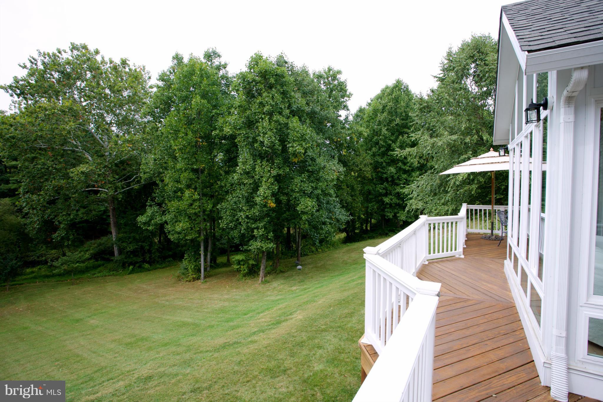 18687 Canby Road Leesburg, VA 20175 - Photo 28 of 30 Spring feed creek sits beyond the tree line