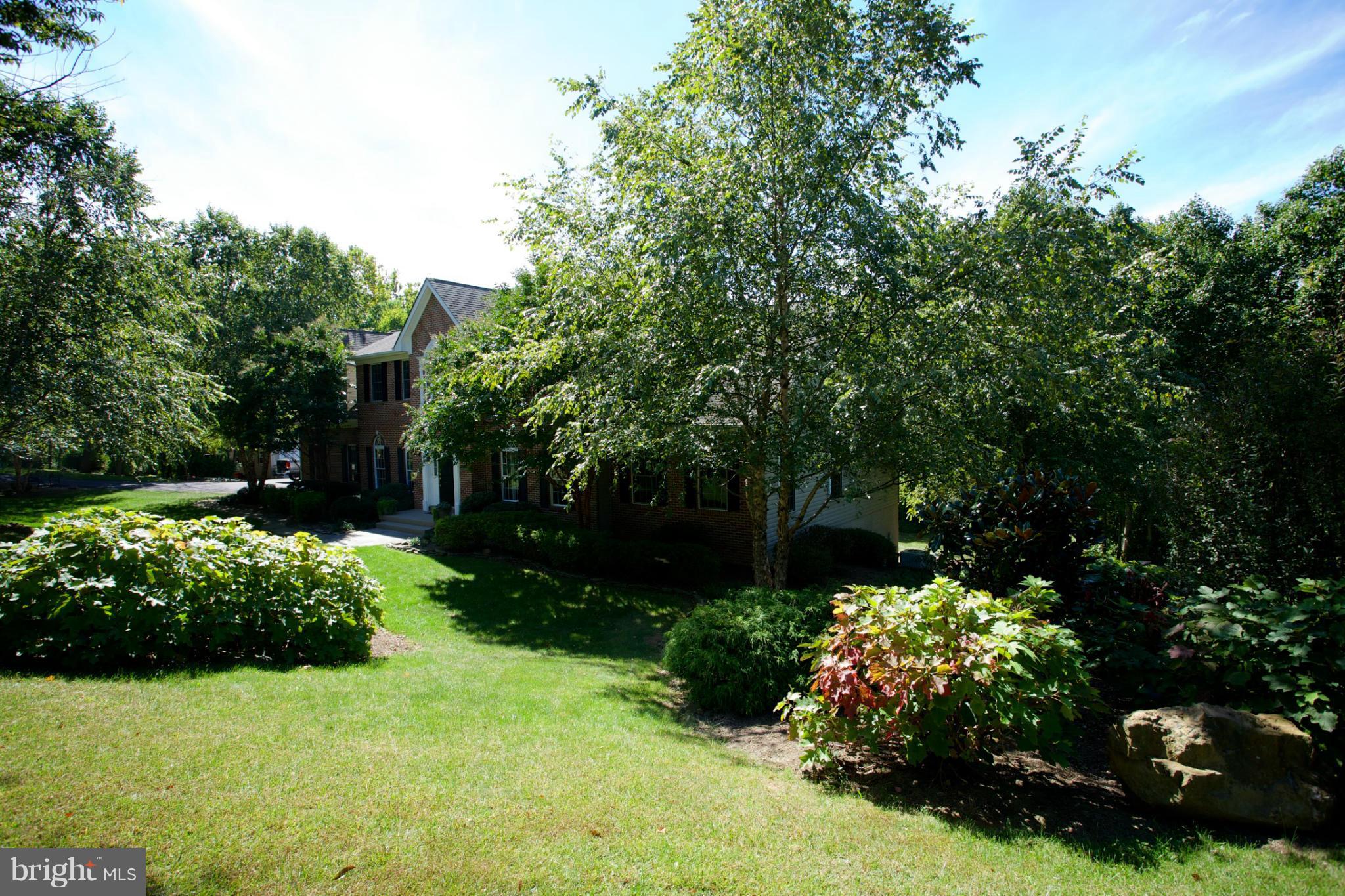 18687 Canby Road Leesburg, VA 20175 - Photo 30 of 30 Dogwood, Redbud, Crepe Myrtle, & River Birch Trees