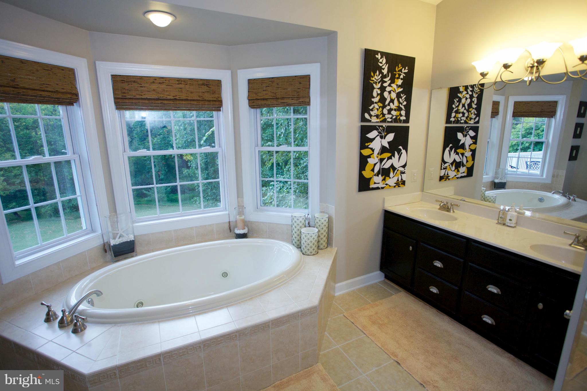 18687 Canby Road Leesburg, VA 20175 - Photo 9 of 30 Jetted tub, thermostatic spa shower, double vanity
