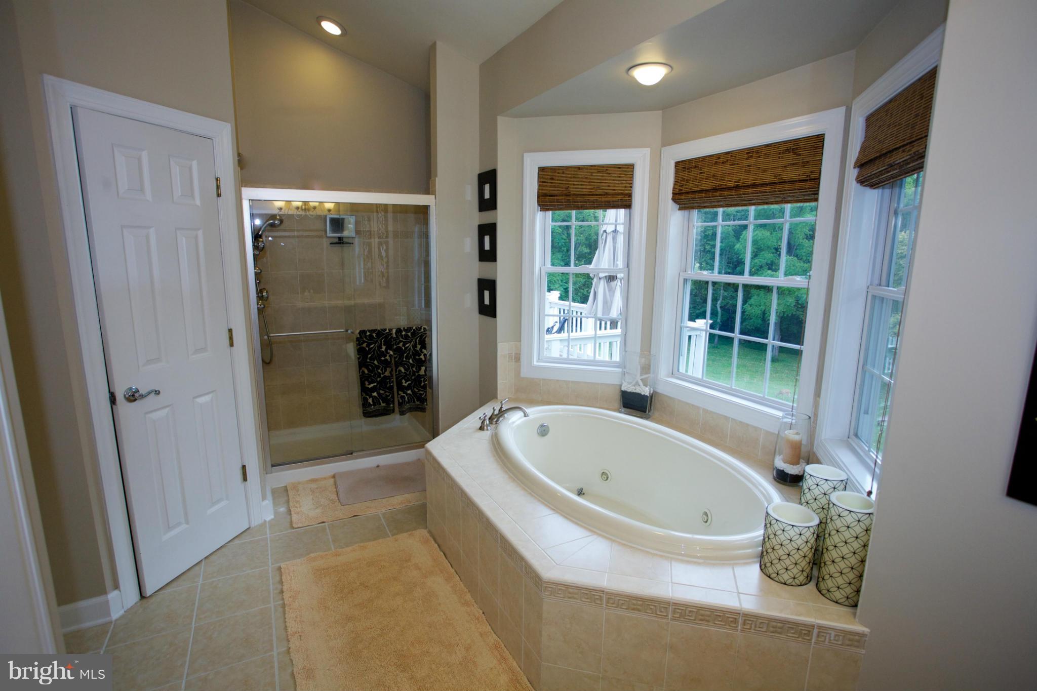 18687 Canby Road Leesburg, VA 20175 - Photo 10 of 30 Stunning view of the private park-like backyard