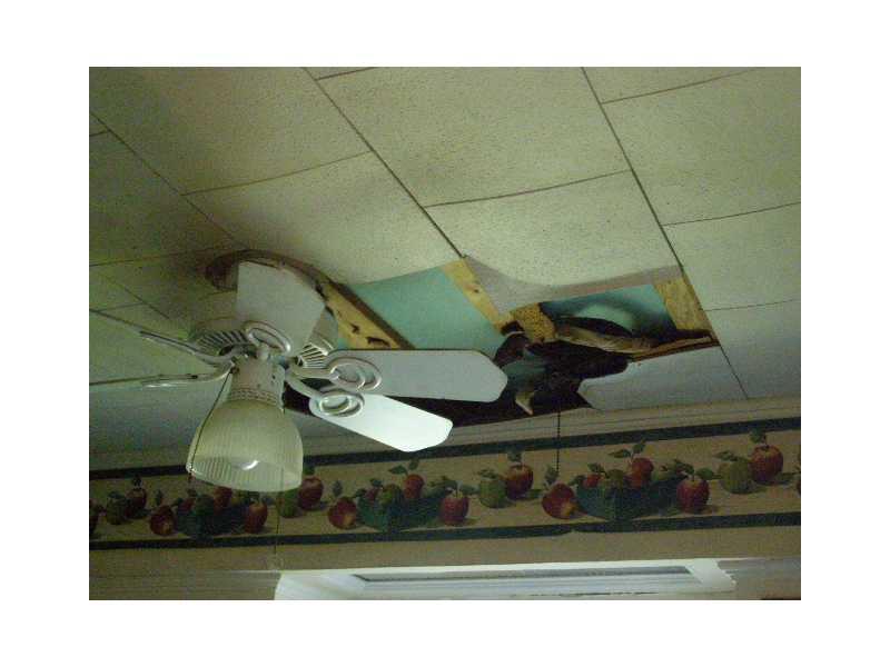 631 Milling Avenue Luling, LA 70070 - Photo 8 of 17