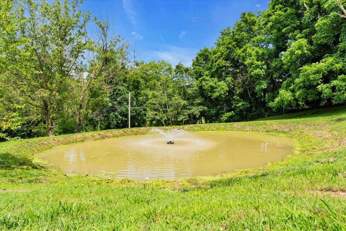 2896 Fly Road Santa Fe, TN 38482 - Photo 7 of 100