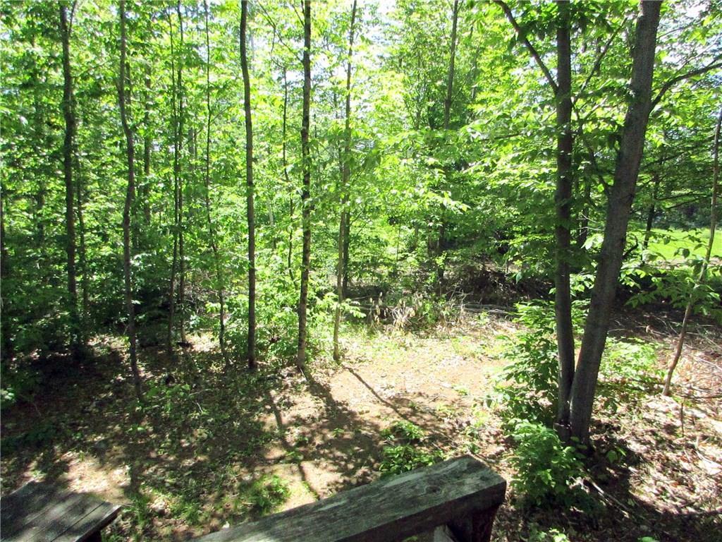 158 Porter Road Skowhegan, ME 04976 - Photo 27 of 30 Looking down from the tree house