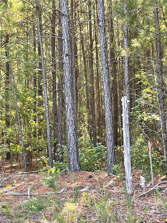 2064 Kingsburry Road York, SC 29745 - Photo 1 of 3 Gallery Image 1