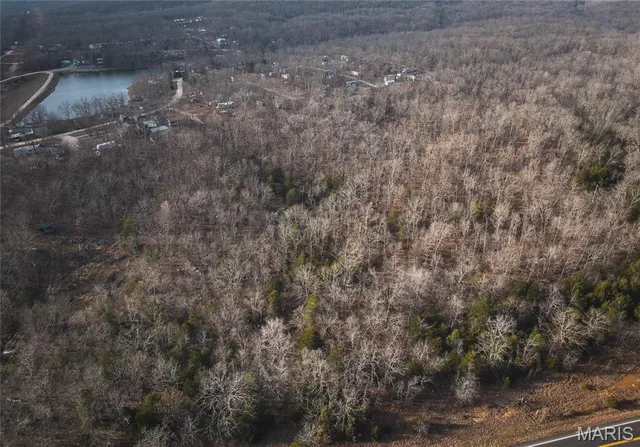 $19,900 | 0 Highway 221 Ironton Mo 63051, Ironton, MO 63650