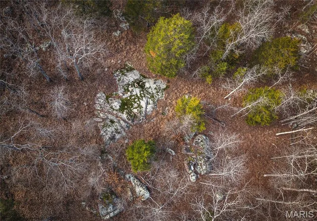 $19,900 | 0 Highway 221 Ironton Mo 63051, Ironton, MO 63650