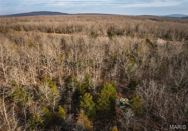 $19,900 | 0 Highway 221 Ironton Mo 63051, Ironton, MO 63650