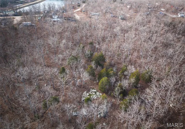 $19,900 | 0 Highway 221 Ironton Mo 63051, Ironton, MO 63650