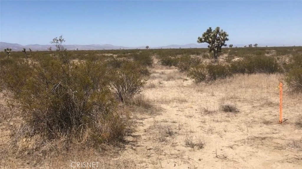 0 Vac/223 Ste/vic Ave  