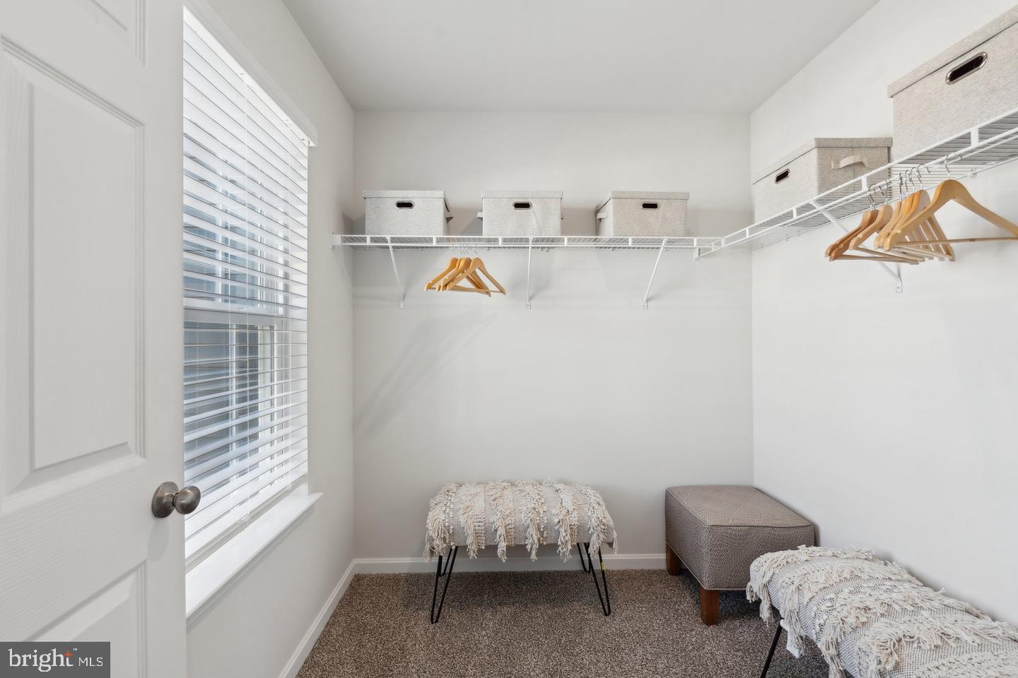 171 Rae Court Luray, VA 22835 - Photo 16 of 26 Walk-in Closet in Primary Bedroom