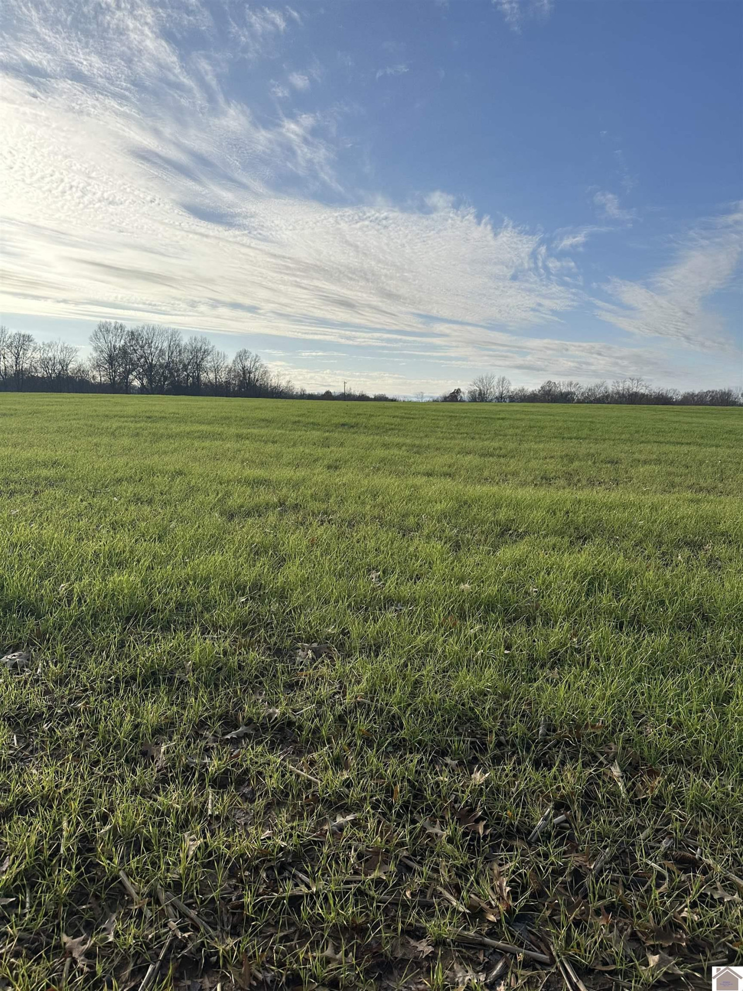 0 Elm Grove Road Almo, KY 42020 - Photo 10 of 35 Photo 10