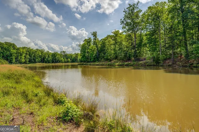 a view of a lake with houses in the back