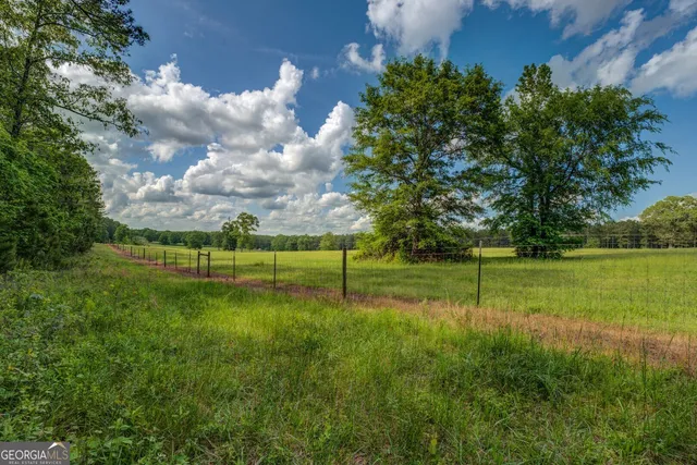 a view of a yard with a trees