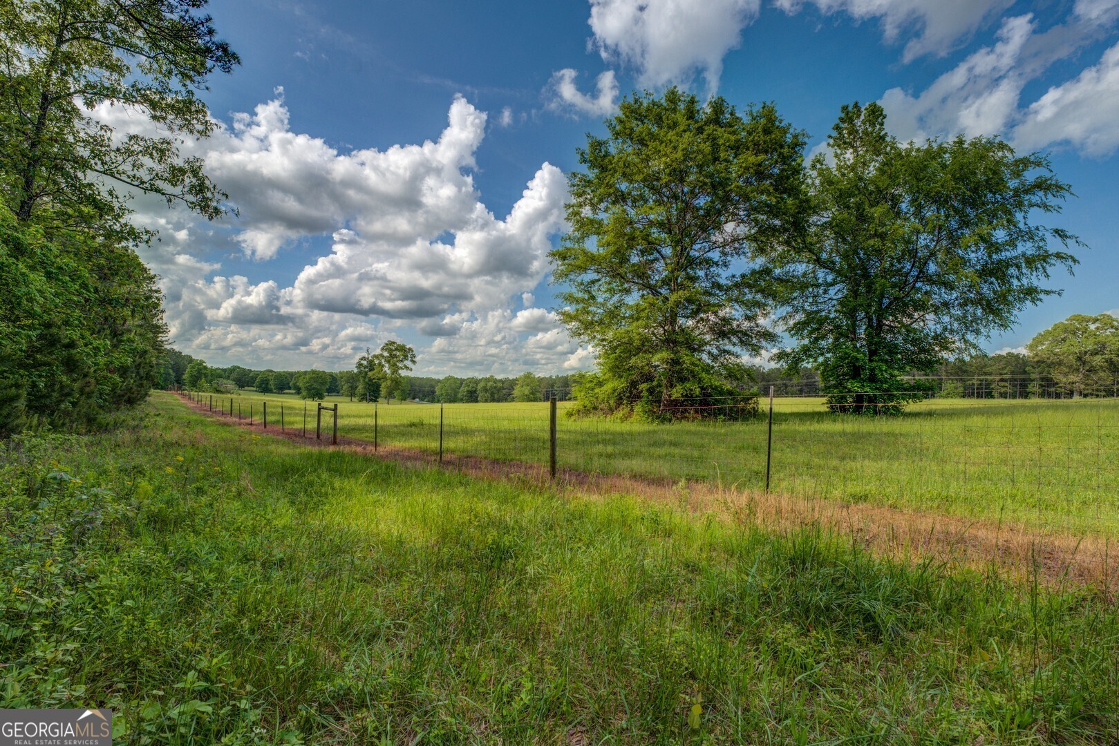 0 Highway 11 North Monticello, GA 31064 - Photo 18 of 20 a view of a park