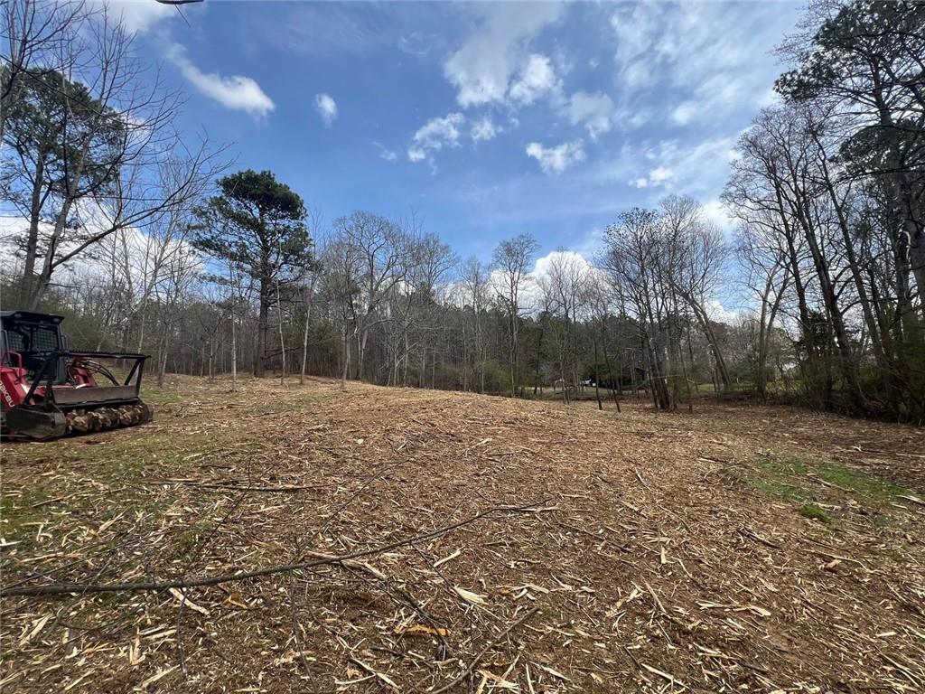 a view of a yard with lots of swings and slides