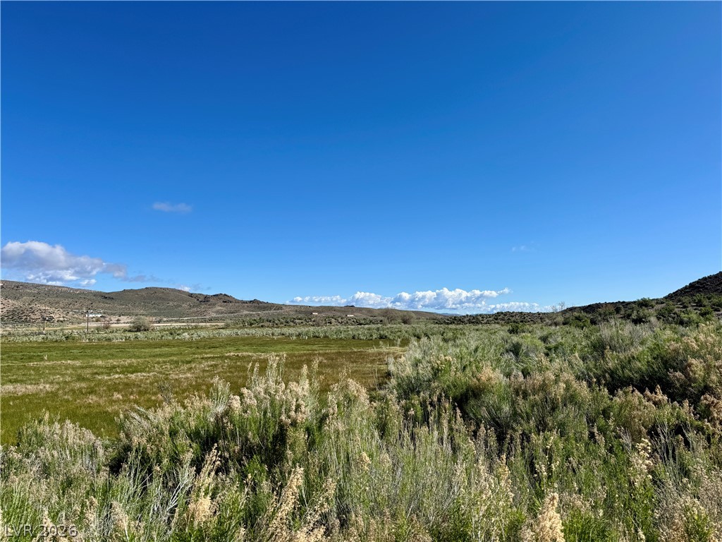 9393 North 93rd Highway Caliente, NV 89008 - Photo 34 of 41 A sprawling landscape offers verdant grasslands under an azure sky, perfect for rural living.