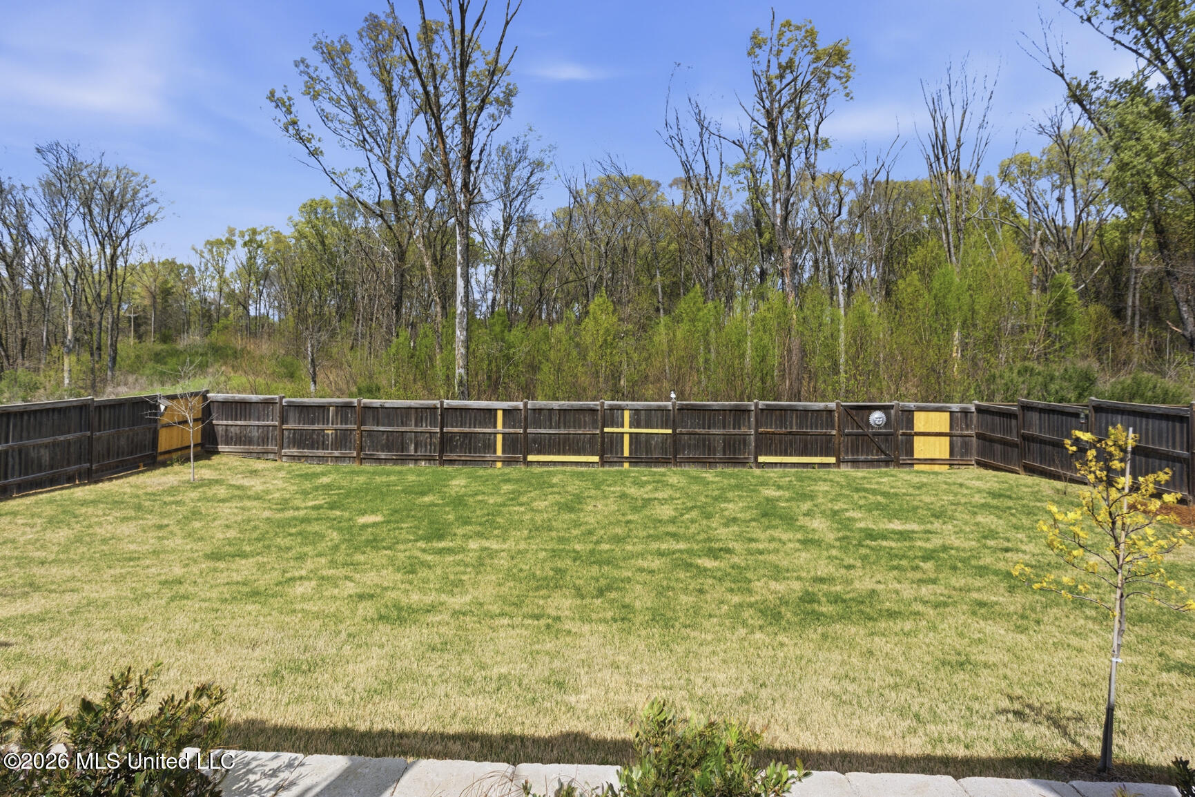 174 Shore View Drive Madison, MS 39110 - Photo 33 of 40 174 Shore View-33