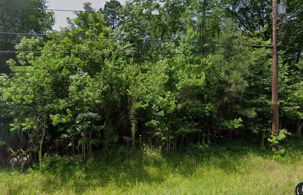 a view of a lush green space