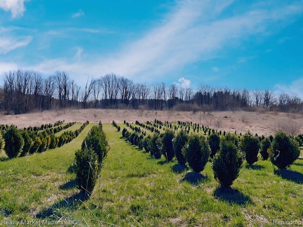 5770 Denhoff Road Kingston, MI 48741 - Photo 2 of 26 Gallery Image 2