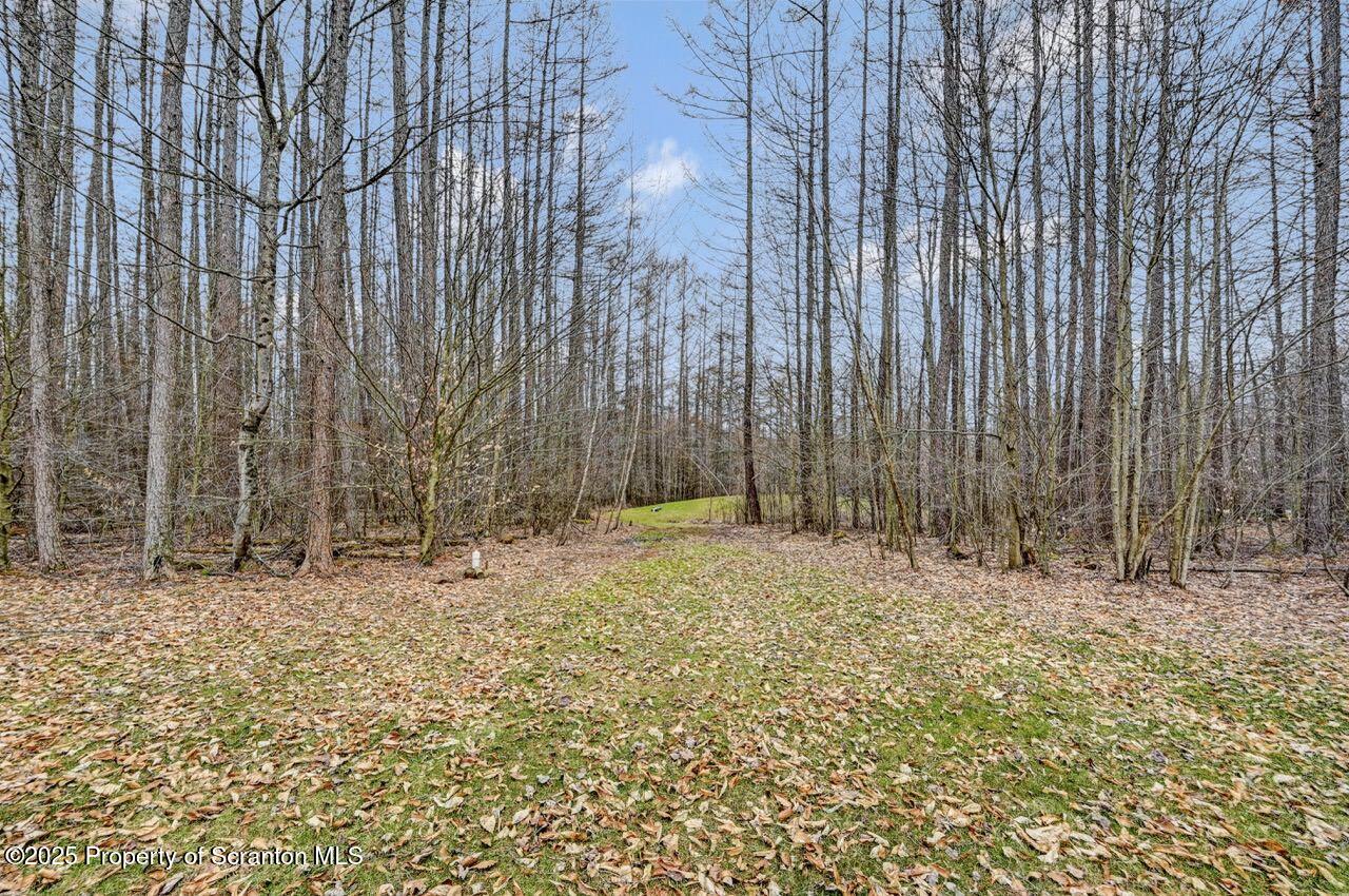 765 Herrick Ridge Union Dale, PA 18470 - Photo 88 of 91 Lot