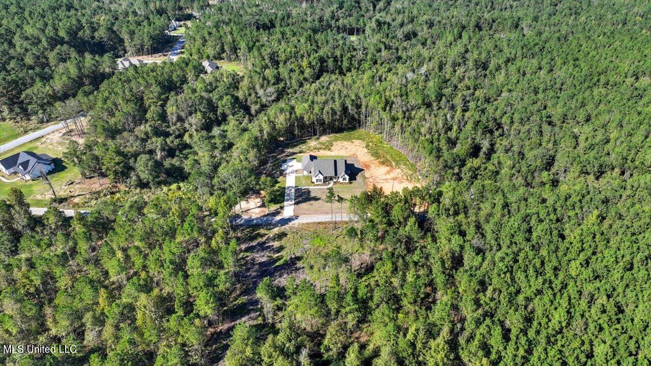 204 A D Mclendon Road Mendenhall, MS 39114 - Photo 40 of 73 39-204 A D Mclendon Rd _ Home Tours MS