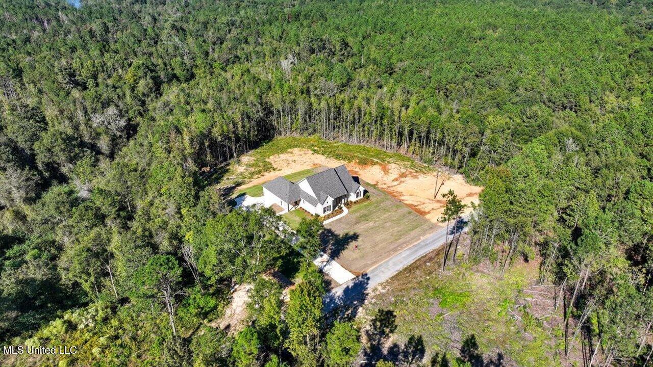 204 A D Mclendon Road Mendenhall, MS 39114 - Photo 48 of 73 47-204 A D Mclendon Rd _ Home Tours MS