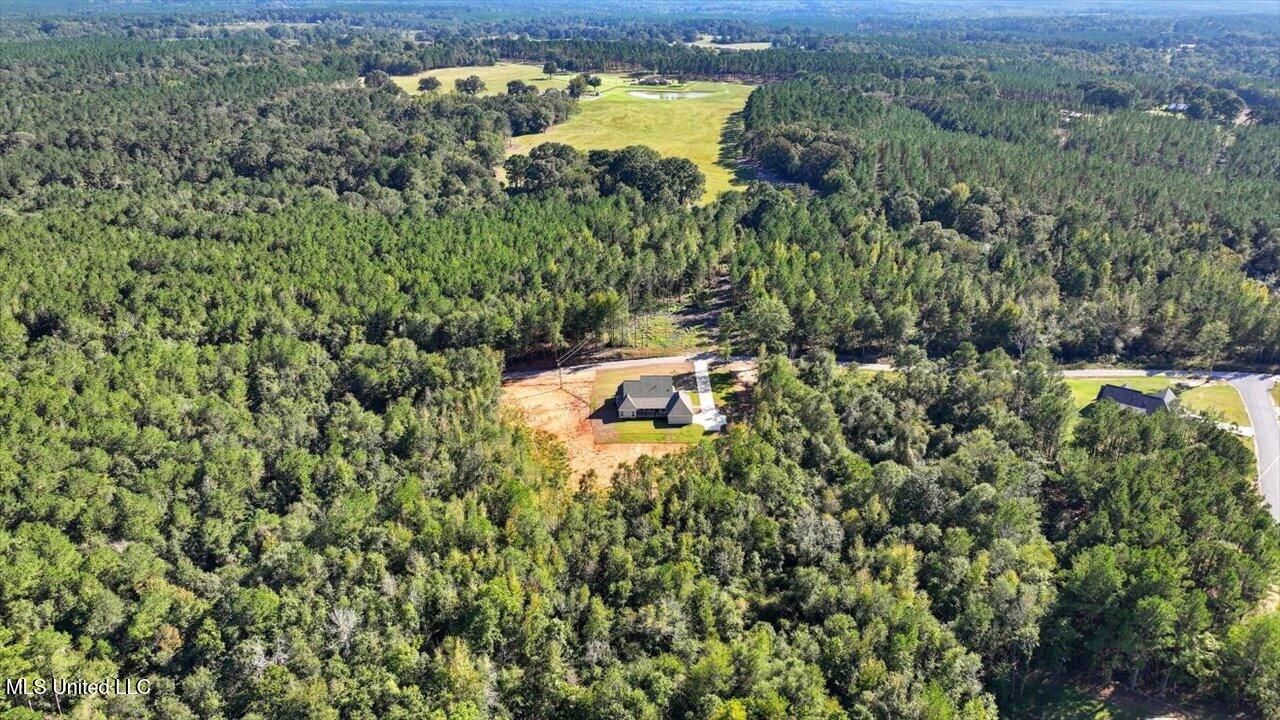 204 A D Mclendon Road Mendenhall, MS 39114 - Photo 60 of 73 59-204 A D Mclendon Rd _ Home Tours MS