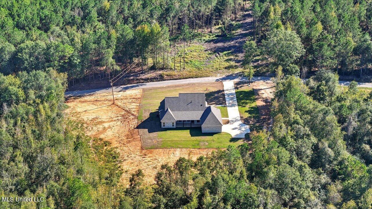 204 A D Mclendon Road Mendenhall, MS 39114 - Photo 61 of 73 60-204 A D Mclendon Rd _ Home Tours MS